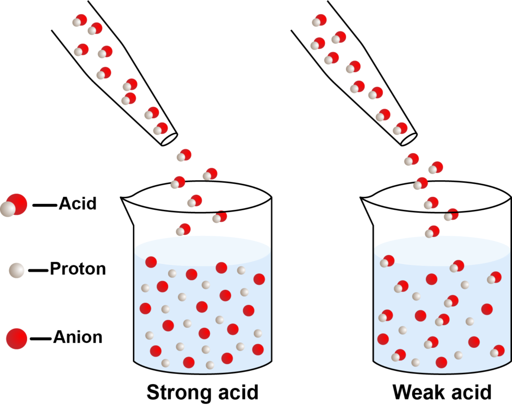 Strong acid added to solution completely dissociates into protons (H+ ion) and anion. When a weak acid is added only some molecules dissociate into protons (H+ ions) and anions, while many remain as complete molecules.