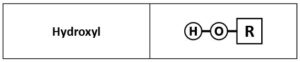 Hydroxyl groups, which consist of OH attached to a "R" chain.