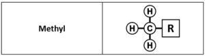 Methyl groups, which consist of three hydrogens attached to a "R" chain.