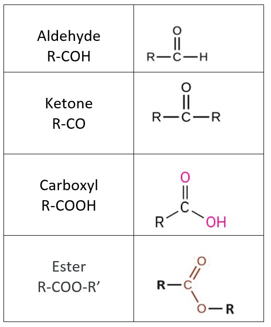 Table showing four varieties of carbonyl groups. Aldehydes have the carbon double bonded to an oxygen, a hydrogen, and a R chain. Ketones have the carbon double bonded to an oxygen and two R chains. Carboxyl groups have the carbon double bonded to an oxygen, a hydroxyl group, and a R chain. Esters have the carbon double bonded to an oxygen, one R chain, and an oxygen bonded to a second R chain.
